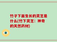 竹子下面生长的灵芝是什么(竹下灵芝：神奇的天然药材)