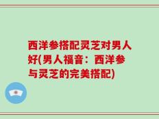 西洋参搭配灵芝对男人好(男人福音：西洋参与灵芝的完美搭配)