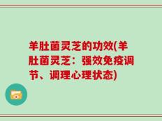 羊肚菌灵芝的功效(羊肚菌灵芝：强效免疫调节、调理心理状态)