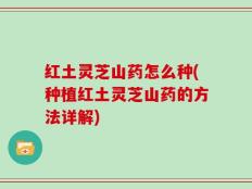 红土灵芝山药怎么种(种植红土灵芝山药的方法详解)