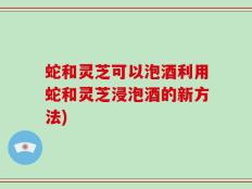 蛇和灵芝可以泡酒利用蛇和灵芝浸泡酒的新方法)