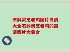 石斛灵芝老鸡图片高清大全石斛灵芝老鸡的高清图片大集合