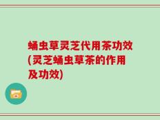 蛹虫草灵芝代用茶功效(灵芝蛹虫草茶的作用及功效)