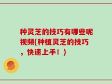 种灵芝的技巧有哪些呢视频(种植灵芝的技巧，快速上手！)
