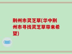 荆州市灵芝草(华中荆州市寻找灵芝草带来希望)