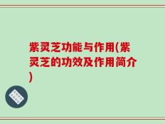 紫灵芝功能与作用(紫灵芝的功效及作用简介)