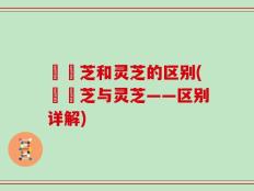 艼靈芝和灵芝的区别(艼靈芝与灵芝——区别详解)