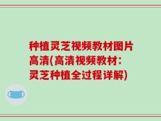 种植灵芝视频教材图片高清(高清视频教材：灵芝种植全过程详解)