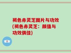 褐色赤灵芝图片与功效(褐色赤灵芝：颜值与功效俱佳)