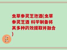虫草参灵芝泡酒(虫草参灵芝酒 科学制备将其多种药效提取并融合)