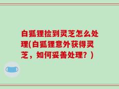 白狐狸捡到灵芝怎么处理(白狐狸意外获得灵芝，如何妥善处理？)