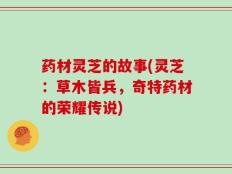 药材灵芝的故事(灵芝：草木皆兵，奇特药材的荣耀传说)