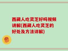 西藏人吃灵芝好吗视频讲解(西藏人吃灵芝的好处及方法详解)