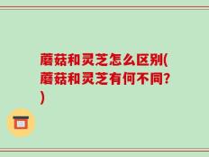 蘑菇和灵芝怎么区别(蘑菇和灵芝有何不同？)