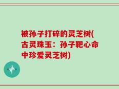 被孙子打碎的灵芝树(古灵珠玉：孙子靶心命中珍爱灵芝树)