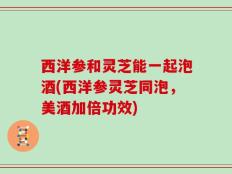 西洋参和灵芝能一起泡酒(西洋参灵芝同泡，美酒加倍功效)