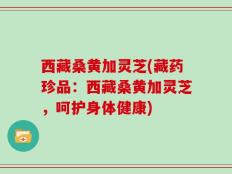 西藏桑黄加灵芝(藏药珍品：西藏桑黄加灵芝，呵护身体健康)