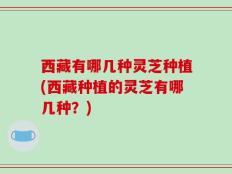 西藏有哪几种灵芝种植(西藏种植的灵芝有哪几种？)