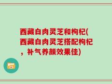 西藏白肉灵芝和枸杞(西藏白肉灵芝搭配枸杞，补气养颜效果佳)