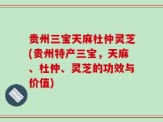 贵州三宝天麻杜仲灵芝(贵州特产三宝，天麻、杜仲、灵芝的功效与价值)