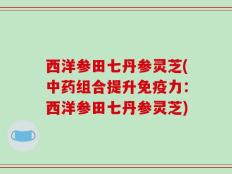 西洋参田七丹参灵芝(中药组合提升免疫力：西洋参田七丹参灵芝)