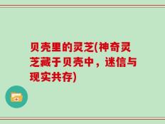 贝壳里的灵芝(神奇灵芝藏于贝壳中，迷信与现实共存)