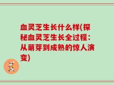血灵芝生长什么样(探秘血灵芝生长全过程：从萌芽到成熟的惊人演变)
