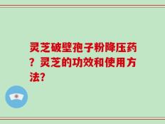 灵芝破壁孢子粉降压药？灵芝的功效和使用方法？