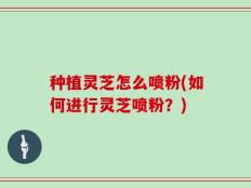 种植灵芝怎么喷粉(如何进行灵芝喷粉？)
