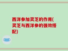 西洋参加灵芝的作用(灵芝与西洋参的强效搭配)