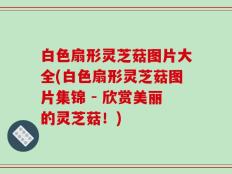 白色扇形灵芝菇图片大全(白色扇形灵芝菇图片集锦 - 欣赏美丽的灵芝菇！)