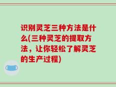 识别灵芝三种方法是什么(三种灵芝的提取方法，让你轻松了解灵芝的生产过程)