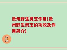贵州野生灵芝作用(贵州野生灵芝的功效及作用简介)