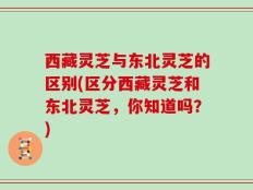 西藏灵芝与东北灵芝的区别(区分西藏灵芝和东北灵芝，你知道吗？)