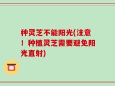种灵芝不能阳光(注意！种植灵芝需要避免阳光直射)
