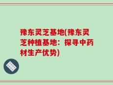 豫东灵芝基地(豫东灵芝种植基地：探寻中药材生产优势)