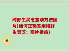 纯野生灵芝鉴别方法图片(如何正确鉴别纯野生灵芝：图片指南)