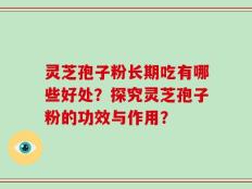 灵芝孢子粉长期吃有哪些好处？探究灵芝孢子粉的功效与作用？
