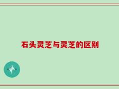 石头灵芝与灵芝的区别