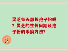 灵芝每天都长孢子粉吗？灵芝的生长周期及孢子粉的采摘方法？