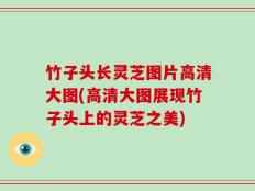 竹子头长灵芝图片高清大图(高清大图展现竹子头上的灵芝之美)
