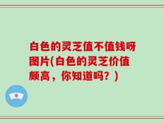 白色的灵芝值不值钱呀图片(白色的灵芝价值颇高，你知道吗？)