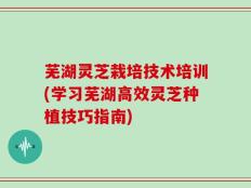 芜湖灵芝栽培技术培训(学习芜湖高效灵芝种植技巧指南)