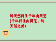 纯天然野生千年肉灵芝(千年野生肉灵芝，纯天然之美)
