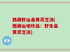 西藏野山桑黄灵芝汤(西藏山地珍品：野生桑黄灵芝汤)