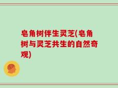 皂角树伴生灵芝(皂角树与灵芝共生的自然奇观)