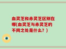 血灵芝和赤灵芝区别在哪(血灵芝与赤灵芝的不同之处是什么？)