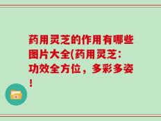 药用灵芝的作用有哪些图片大全(药用灵芝：功效全方位，多彩多姿！