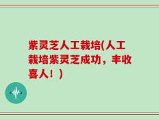 紫灵芝人工栽培(人工栽培紫灵芝成功，丰收喜人！)