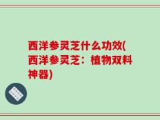 西洋参灵芝什么功效(西洋参灵芝：植物双料神器)